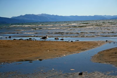 Lake Tahoe inlet.jpg