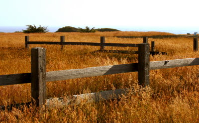 Coastal Cattle Country.jpg
