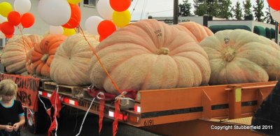 Pumpkin Fest.jpg