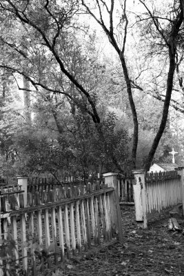 Secluded Graves.jpg
