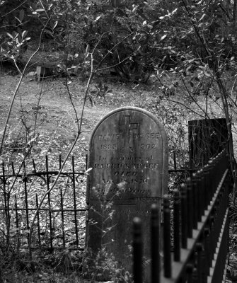 Fall Grave Stone.jpg