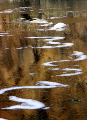 Foamy reflection.jpg