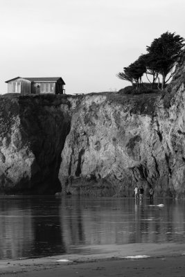 Cliff House and The Windswept trees.jpg