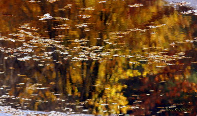 Fall in Sierra Foothills.jpg