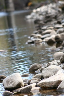 Feather River sit down.jpg