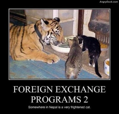 Foreign_Exchange_Programs.jpg