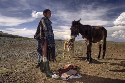 Lesotho Herder