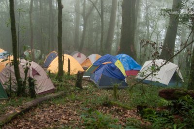 Area de Campamento