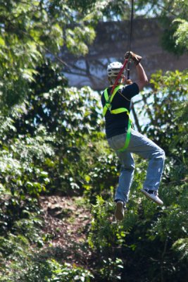 El Canopy Atrae a Muchos Visitantes