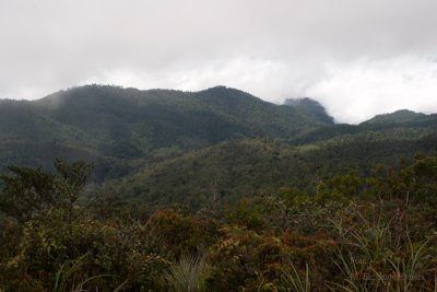 Vista Panoramica de Parte de la Sierra de las Minas