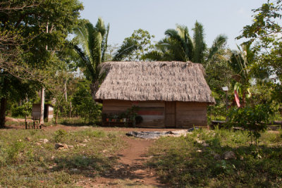 Tipo de Vivienda del Area