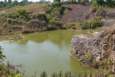 Pantano Alrededor de la Laguna