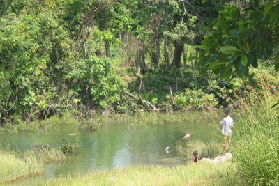 En las Orillas Pantanosas los Vecinos Pescan