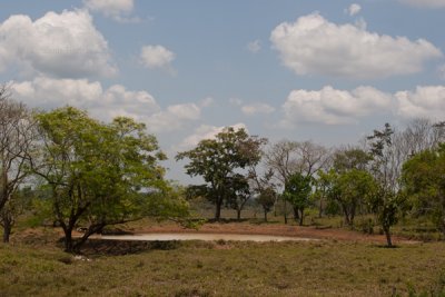 En la Ruta a la Cabecera Pueden Verse Aguadas Para el Ganado