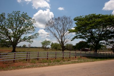 Finca Cercana a la Cabecera