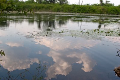 Reflejo de Nubes en una de las Lagunas Camino a Bethel
