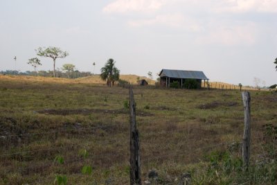 Campo Tipico Cercano a la Comunidad