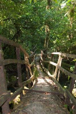 Puente Hecho de un Tronco de Arbol