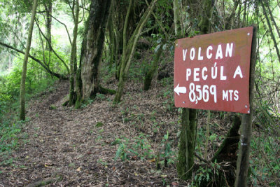 Ruta Hacia la Cumbre Desde Fuentes Georginas