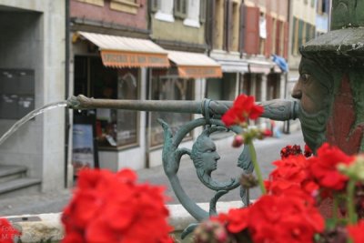 Detalle de Fuente en La Neuveville