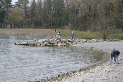 Parque Natural Cercano a Sutz-Lattrigen