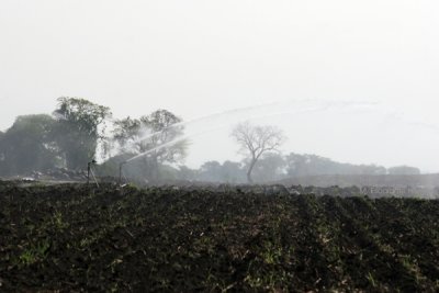 Irrigacion de Campos Para la Siembra de Caa de Azucar