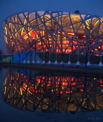 Bird Nest Reflection