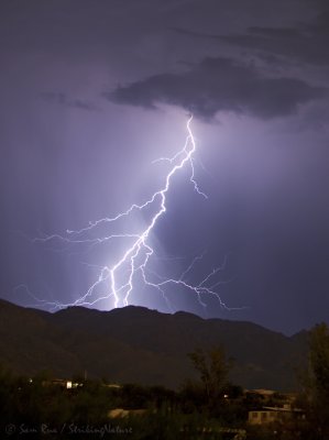 Catalina Lightning