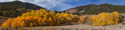 Eastern Sierra Nevada Color