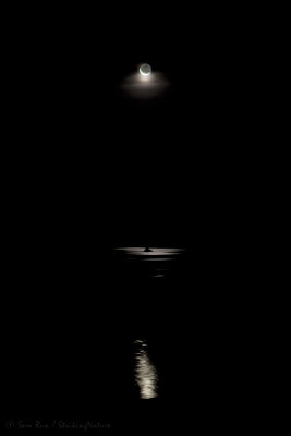 Mono Lake Moonrise