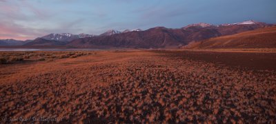 Eastern Sierra Dawn