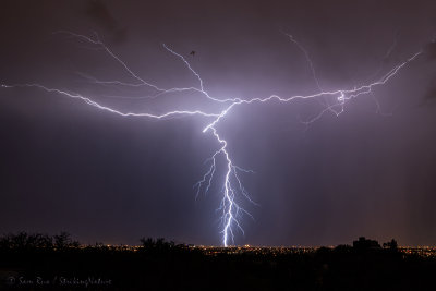 Lightning (and Bat) Over Tucson