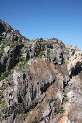 Cap Creus