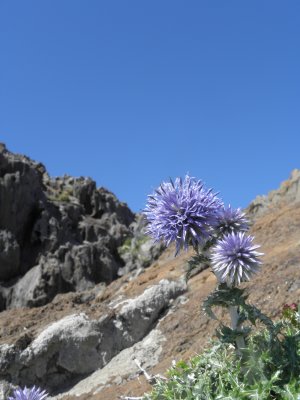 Cap Creus