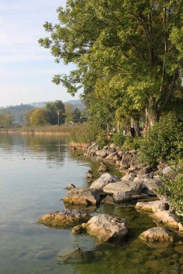 Lac de Sempach