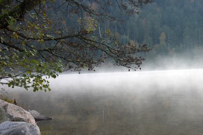 IMG_7975