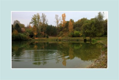 Etang de pêche - The fishing pond dressed in autumn colors