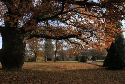 Le square du Docteur Briffaut se pare de ses chaudes couleurs d'automne