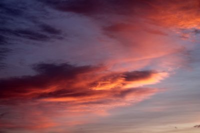 IMG_9379