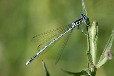 IMG_5107