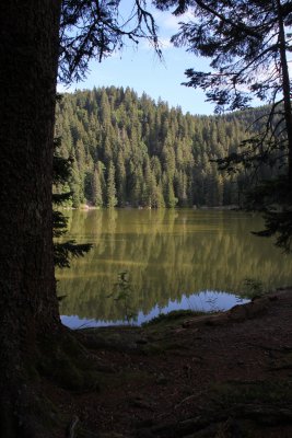 Le lac vert - The green lake 