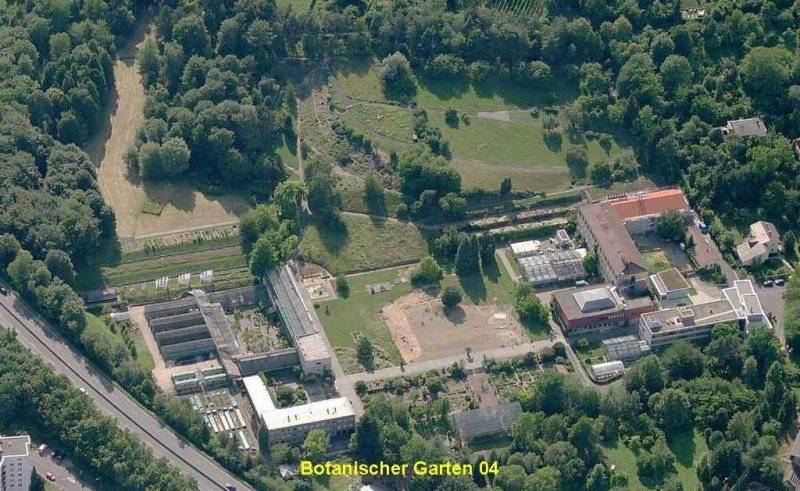 Botanischer Garten 04.jpg