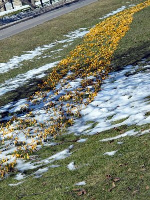 SPRING IS IN THE AIR??