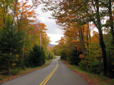 COUNTRY DRIVE