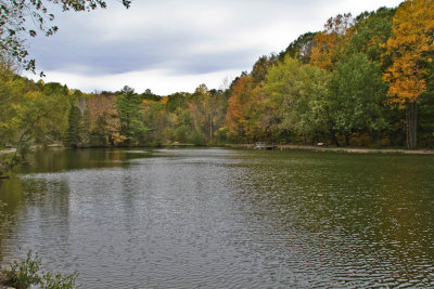 FALL IS A BEAUTIFUL TIME OF THE YEAR