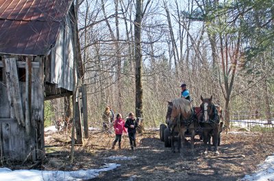 Cabane à SUCRE_2011 04 03_0460--cabane--800.jpg