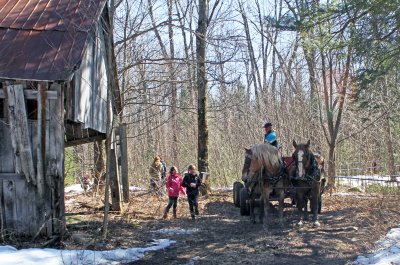 Cabane  SUCRE_2011 04 03_0460--cabane--800.jpg