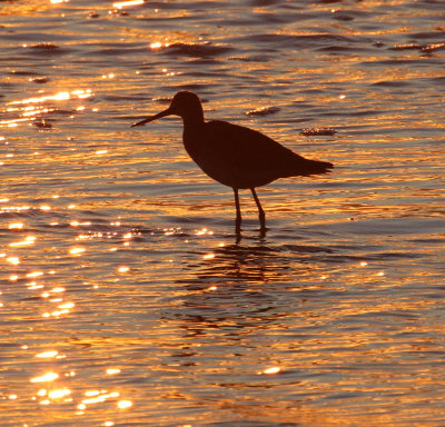 2011 09 17_rimouski-soir-_4773_edited-1.jpg