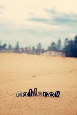 Collaroy Beach