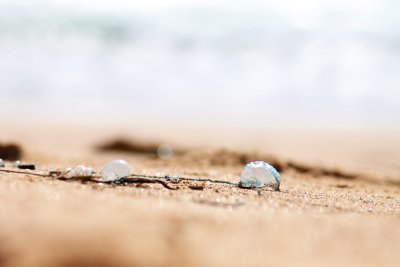washed up